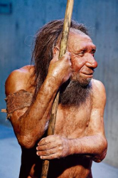 neandertal-tgv.png