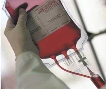 transfusion-4.jpg