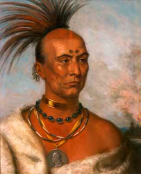 black-hawk-tgv.png