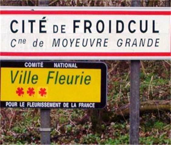 Froidcul